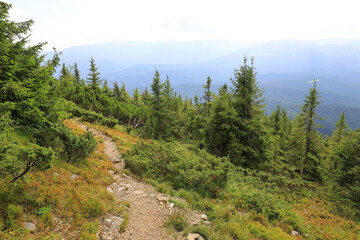 Wall Mural - patway in mountains