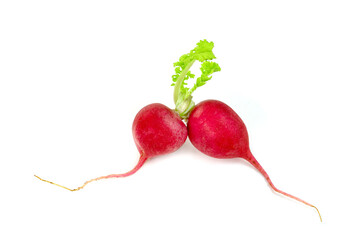 Canvas Print - small red radish isolated on white background