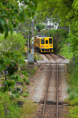 Sticker - 新緑の島原鉄道