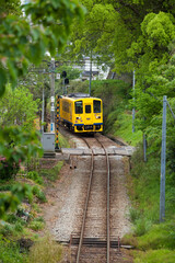 Sticker - 新緑の島原鉄道