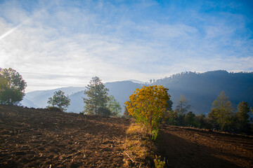 Canvas Print - campo seco 