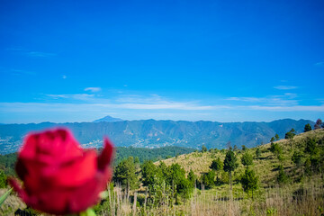 Canvas Print - valle con cielo azul