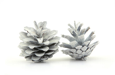 White painted pine cones isolated on white background. Christmas or winter decoration natural cones.