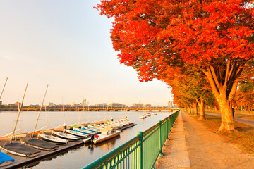 Wall Mural - Boston Skyline in autumn showing  the Charles River at sunrise, Boston Massachusetts. 