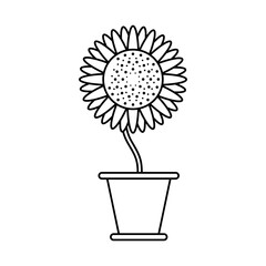 Poster - sunflower growth plant in ceramic pot line style icon