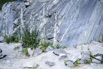 Rock cut raw surface of white and grey marble in the natural environment with trees and blue sky. Blue marble career texture. Background stone, industrial material for buildings and interior.