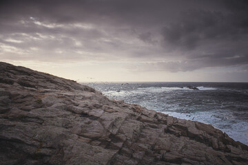 A bunch of seaguls in some rocks of a coast with rain coming 