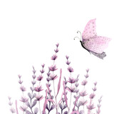 Fototapeta Motyle - Watercolor illustration background of lavender flower fielsd.