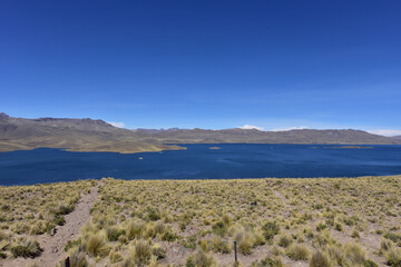 Mirador Lagunillas- Puno district-Peru 2