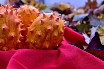 Wall Mural - Fresh exotic organic orange Kiwano