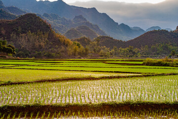 Wall Mural - trip trough the north of Vietnam from Hanoi to the mountain village Sapa