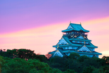 Canvas Print - 大阪城の夕景