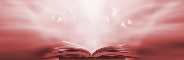 Poster - The blurred book that is bewitched with magic, the magic light in the dark, with the bright light shining down as the power to search for knowledge. For research and use as a blurred background