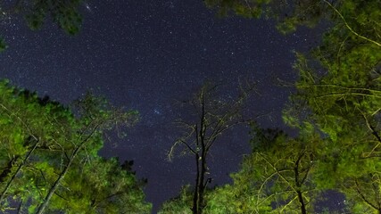 Wall Mural - 4K Time-Lapse Video of night sky and star with clouds move over pine tree at Huai Nam Dang National Park, thailand.