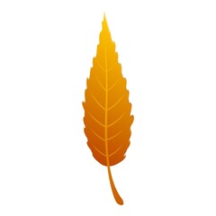 Poster - Willow brown leaf icon. Cartoon of willow brown leaf vector icon for web design isolated on white background