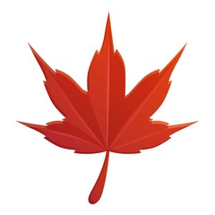 Poster - Red autumn leaf icon. Cartoon of red autumn leaf vector icon for web design isolated on white background