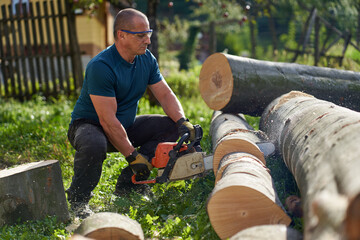 Wall Mural - Lumberjack sawing beech logs