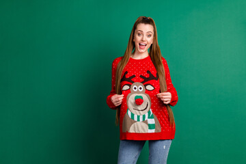 Canvas Print - Portrait of her she nice-looking attractive pretty cheerful cheery long-haired girl demonstrating touching deer print sweater eve noel look outfit copy space isolated over green color background