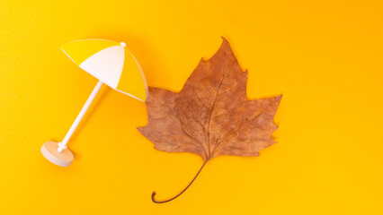 green leaf and beach umbrella on yellow background