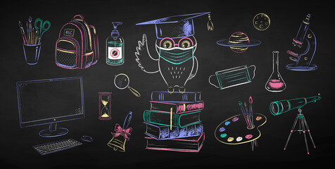 Wall Mural - owl sitting on books wearing face mask