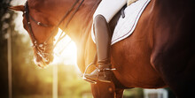 A Bay Racehorse With A Rider In The Saddle, Who Has Black Boots With Spurs, Is Illuminated By Bright Rays Of Sunlight. Horseback Riding. Equestrian Sport.