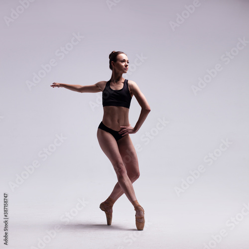 Εκτύπωση καμβά Beautiful Ballet Dancer Posing On Pointes.