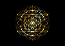 Seed Of Life Symbol Sacred Geometry.  Geometric Mystic Mandala Of Alchemy Esoteric Flower Of Life. Gold Luxury Design, Vector Divine Meditative Amulet Isolated On Black Background