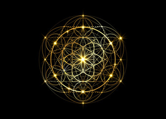 seed of life symbol sacred geometry. geometric mystic mandala of alchemy esoteric flower of life. go