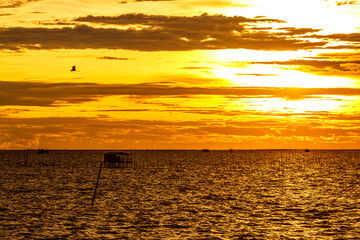 Wall Mural - Sea in the evening with the sun