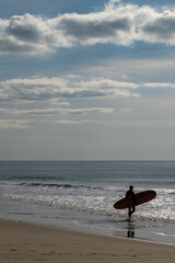 Wall Mural - surfer walks into the Atlantic ocean on the French Cote d'Argent to catch some waves