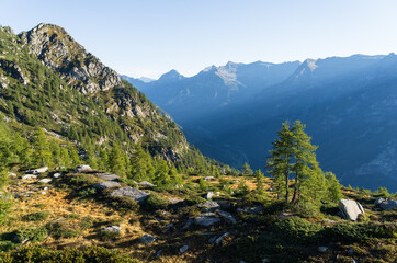 Fototapete - The mountains of Ticino on a summers mornig.