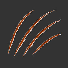 Red Claws Animal Scratch Scrape Track Isolated On Dark Background. Vector Illustration, Eps10. Cat Tiger Scratches Paw Shape. Four Nails Trace. Damaged Cloth. Ragged Edges.