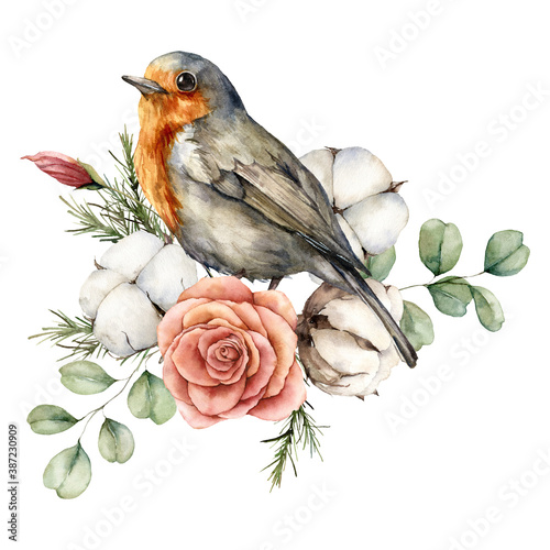 Cuadros en Lienzo Watercolor card with robin redbreast, cotton, rose and eucalyptus leaves