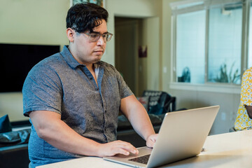 Wall Mural - man working from home on laptop computer