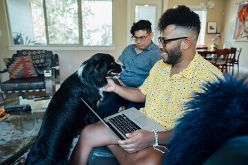 Wall Mural - happy gay couple working from home with laptops on couch with their australian shepherd