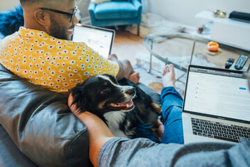 Wall Mural - happy gay couple working from home with laptops on couch with their australian shepherd