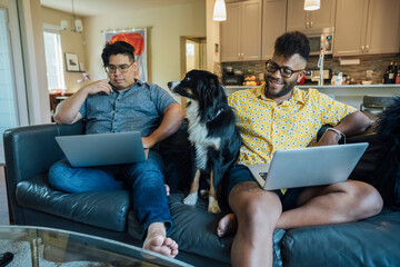 Wall Mural - happy gay couple working from home with laptops on couch with their australian shepherd