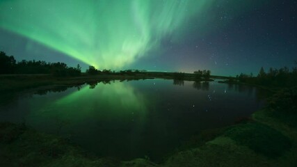 Wall Mural - aurora borealis and stars reflecting in calm water lake thingvellir iceland