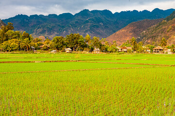 Traveling in the north of Vietnam, from Hanoi yo Sapa