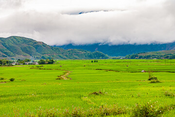 Wall Mural - The mountain village Sapa in the north of Vietnam