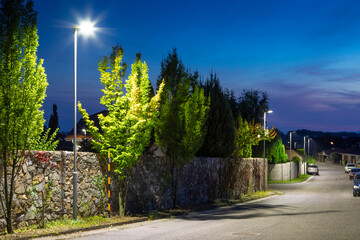 Poster - street lamp in front of a fence with rich greenery