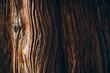 Leinwandbild Motiv Tree bark texture close up, natural background