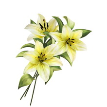 Beautiful Card With Yellow Lilies, Bouquet On White Background