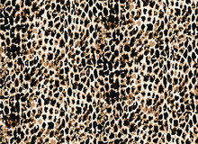 Seamless Leopard Pattern, Animal Print.