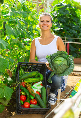 Wall Mural - Happy woman showing basket of fresh vegetables in sunny garden