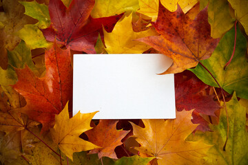 Creative layout made of autumn colorful leaves and white paper frame. Flat lay.