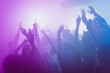 Photo of big company many people funny raise arms dance floor neon bright pink spotlight modern club indoors