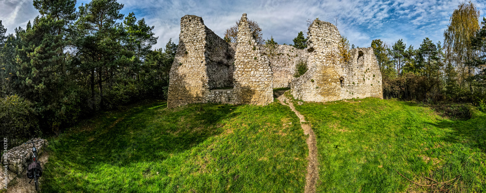 ruiny zamku w Bydlinie na Jurze Krakowsko - Częstochowskiej, Śląsk, Polska - obrazy, fototapety, plakaty 