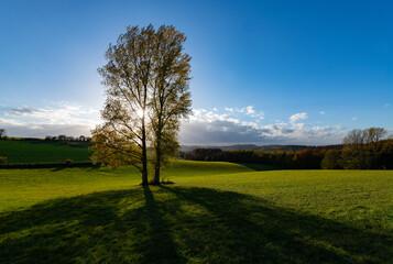 Sauerland Panorama 2 Bäume Aussicht Horizont Deutschland Iserlohn Kesbern Hügel Täler Landschaft Herbst Sonne Gegenlicht Wiese Stimmung Natur Idyll blauer Himmel Abend Strahlen Baum Grüne Ruhrgebiet