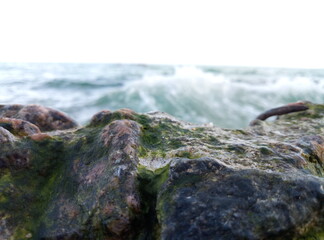 rocks on the beach